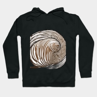 Swirling Chocolate Artwork - Abstract Creamy Whirl Design No. 756 Hoodie